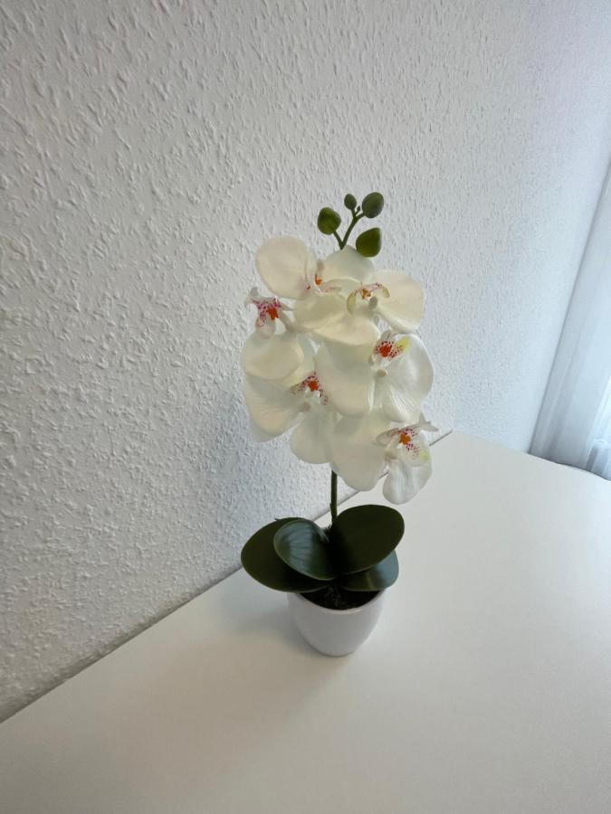 Lucky Stays Ls07 - Vollausstattung - Zentrum - Aufzug - Grosse Kueche - 2 Zimmer - Smart-Tv Μαγδεβούργο Εξωτερικό φωτογραφία