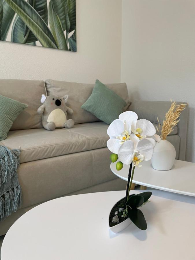 Lucky Stays Ls07 - Vollausstattung - Zentrum - Aufzug - Grosse Kueche - 2 Zimmer - Smart-Tv Μαγδεβούργο Εξωτερικό φωτογραφία